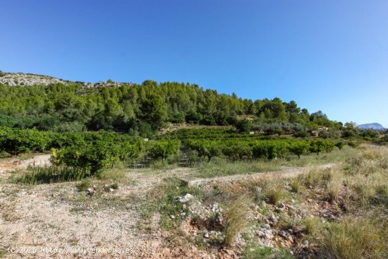 Parcela en venta en Sagra (Alicante)