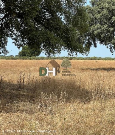 Solar en venta en Cáceres (Cáceres)