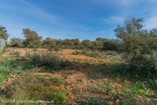  Solar con licencia de obras Son Gual II - BALEARES 