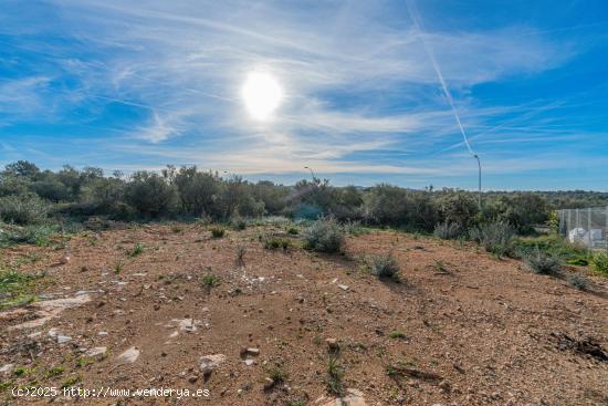 Solar con licencia de obras Son Gual II - BALEARES