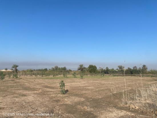  TERRENO RURAL 7500 METROS EN SANTA POLA - ALICANTE 