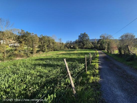 EN VENTA TERRENO RÚSTICO EN VALLE DE VILLAVERDE - CANTABRIA