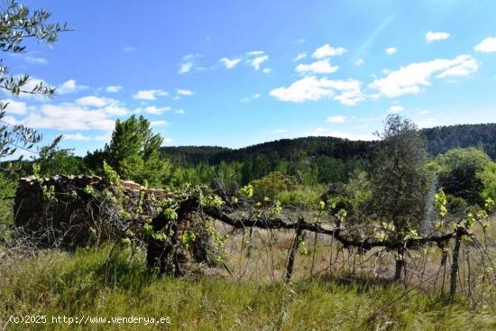 Se Vende en La Fresneda - TERUEL