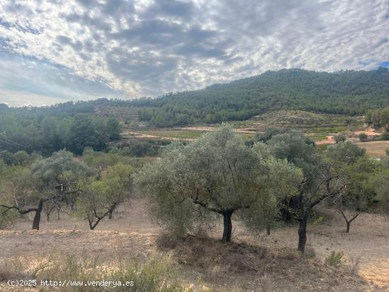  Finca en Horta de Sant Joan - TARRAGONA 