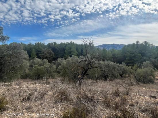 Finca en Horta de Sant Joan - TARRAGONA