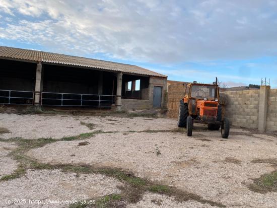 SE VENDE GRANJA EN TORNOS (TERUEL) - TERUEL