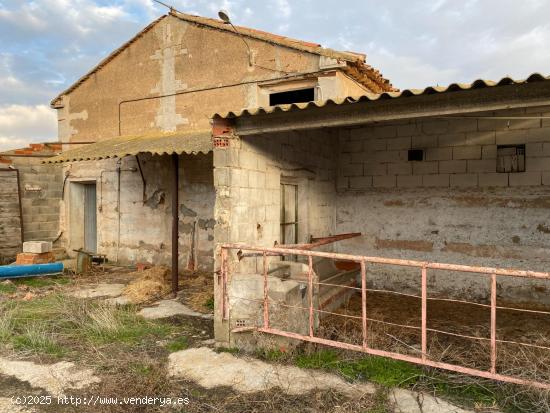 SE VENDE GRANJA EN TORNOS (TERUEL) - TERUEL