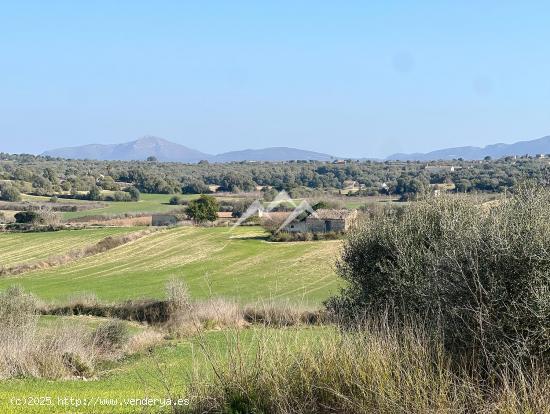 Terreno para tres viviendas unifamiliares en Santa Margalida - BALEARES