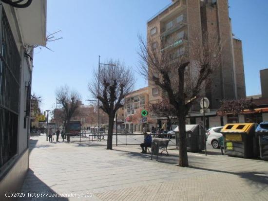  Se Alquila en Granada - GRANADA 