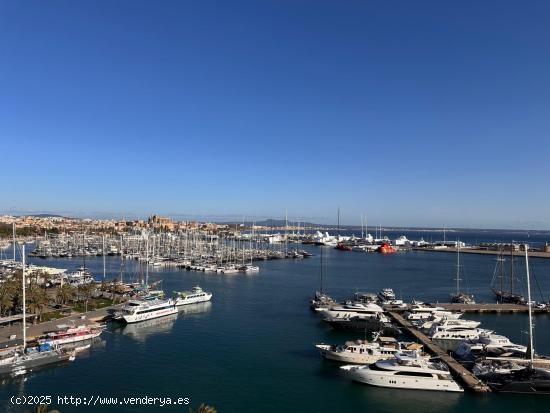 Piso en Alquiler en Paseo Marítimo – Primera Línea con Vistas al Mar - BALEARES