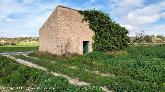 Terreno rústico en Algaida - BALEARES