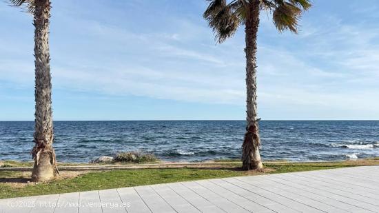 APARTAMENTO DE 2 DORMITORIOS 2 BAÑOS EN PLAYA DEL CURA TORREVIEJA - ALICANTE