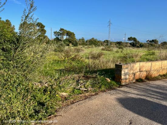 Terreno rústico ideal para caballos en Sa Coma. - BALEARES