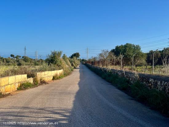 Terreno rústico ideal para caballos en Sa Coma. - BALEARES