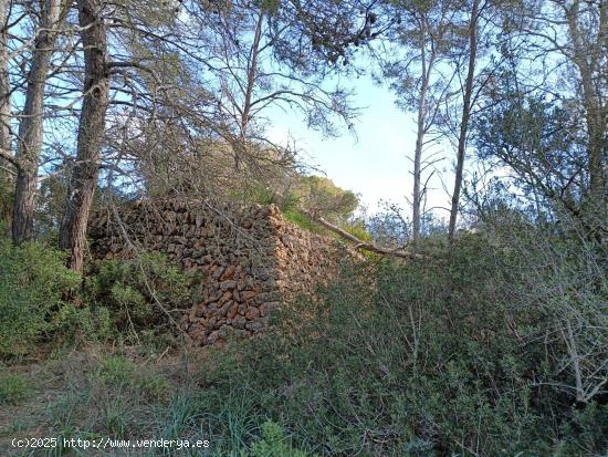 Ses Maioles- Terreno urbanizable con Luz y Agua - BALEARES