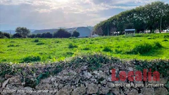 Extenso suelo urbano en Cóbreces, Cantabria.