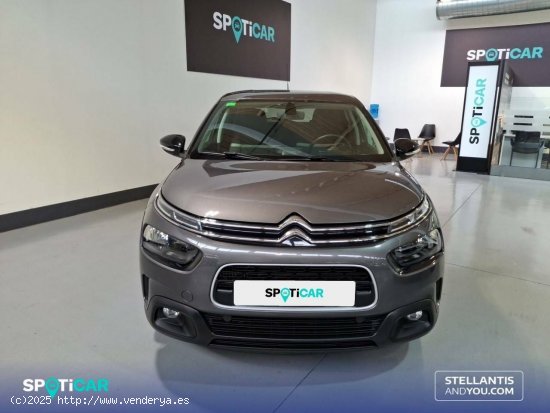 Citroën C4 Cactus  PureTech 81KW (110CV) S&S Feel - Barcelona