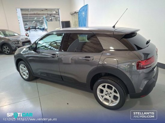 Citroën C4 Cactus  PureTech 81KW (110CV) S&S Feel - Barcelona