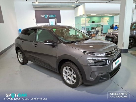 Citroën C4 Cactus  PureTech 81KW (110CV) S&S Feel - Barcelona