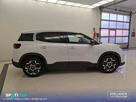 Citroën C5 Aircross  HYBRID 100kW (136CV) e-DCS6 Plus - Ourense