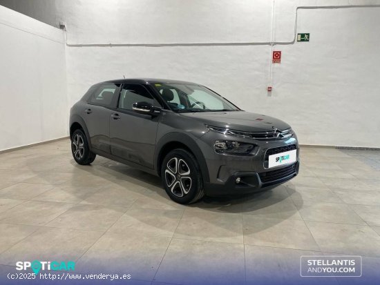 Citroën C4 Cactus  PureTech 110 S&S Feel - Granada