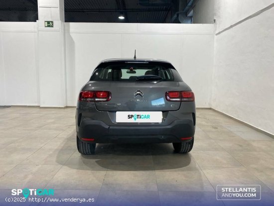 Citroën C4 Cactus  PureTech 110 S&S Feel - Granada