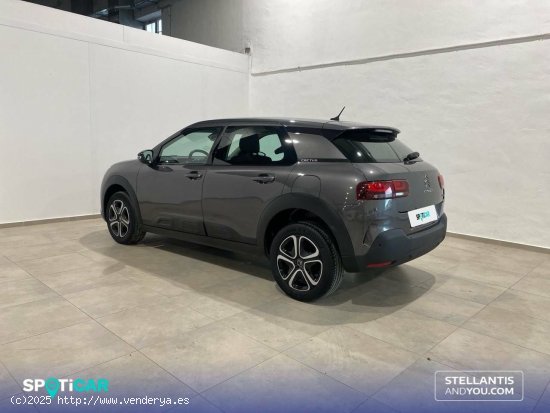 Citroën C4 Cactus  PureTech 110 S&S Feel - Granada