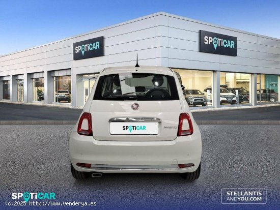 Fiat 500 500 2  1.0 Hybrid 51KW (70 CV) Dolcevita - València