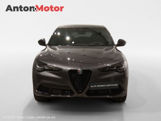 Alfa Romeo Stelvio 2.2 Diésel 154kW (210CV) Veloce Q4 - Álava