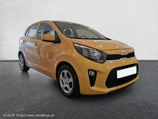  Kia Picanto 1.0 DPi 49kW (67CV) Concept HONEY BEE - València 