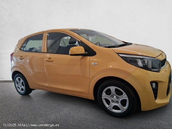 Kia Picanto 1.0 DPi 49kW (67CV) Concept HONEY BEE - València