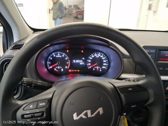 Kia Picanto 1.0 DPi 49kW (67CV) Concept HONEY BEE - València