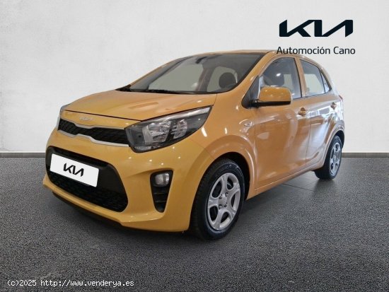 Kia Picanto 1.0 DPi 49kW (67CV) Concept HONEY BEE - València