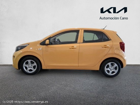 Kia Picanto 1.0 DPi 49kW (67CV) Concept HONEY BEE - València