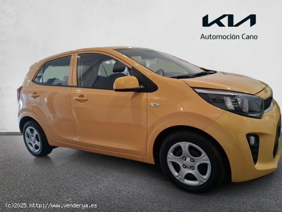 Kia Picanto 1.0 DPi 49kW (67CV) Concept HONEY BEE - València