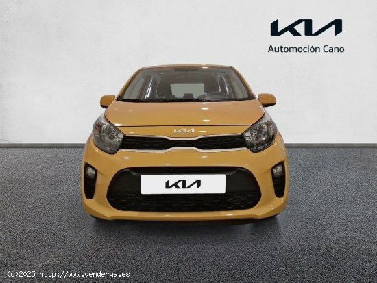 Kia Picanto 1.0 DPi 49kW (67CV) Concept HONEY BEE - València