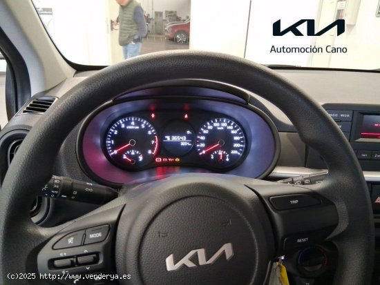 Kia Picanto 1.0 DPi 49kW (67CV) Concept HONEY BEE - València