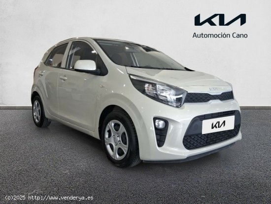  Kia Picanto 1.0 DPi 49kW (67CV) Concept MILKY BEIGE - València 