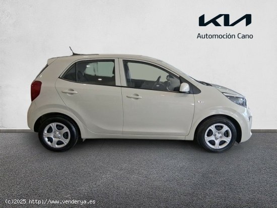 Kia Picanto 1.0 DPi 49kW (67CV) Concept MILKY BEIGE - València