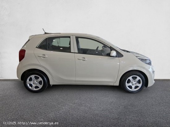 Kia Picanto 1.0 DPi 49kW (67CV) Concept MILKY BEIGE - 