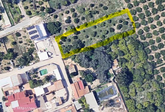 SE VENDE PARCELA RUSTICA EN CABEZO DE TORRES - MURCIA