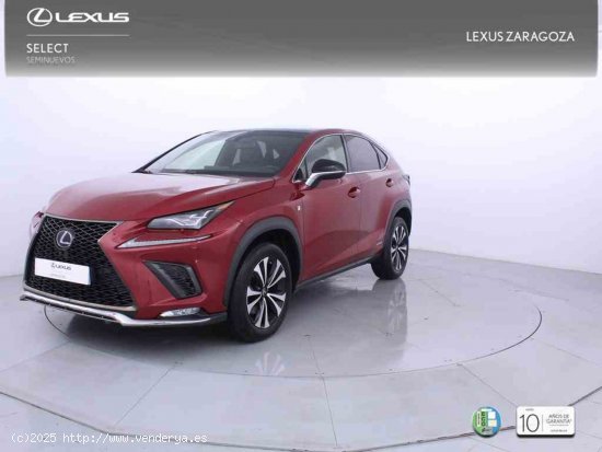  Lexus NX 2.5 300h F Sport 4WD Panorámico + Pack Protección - Zaragoza 