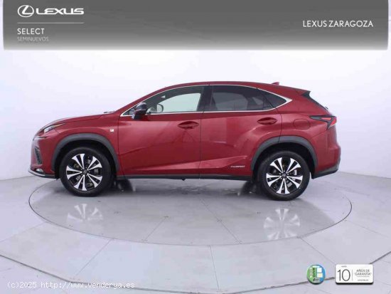 Lexus NX 2.5 300h F Sport 4WD Panorámico + Pack Protección - Zaragoza