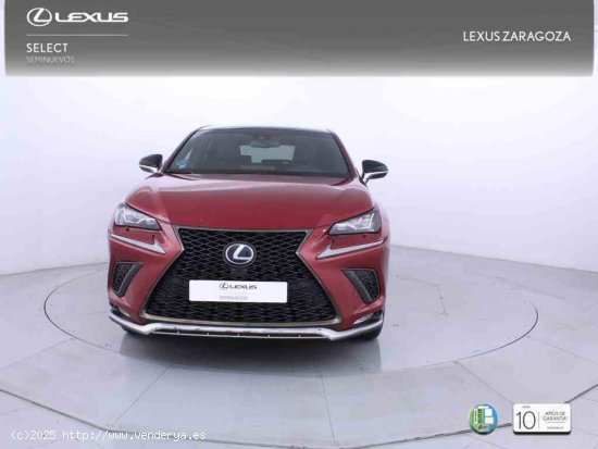 Lexus NX 2.5 300h F Sport 4WD Panorámico + Pack Protección - Zaragoza