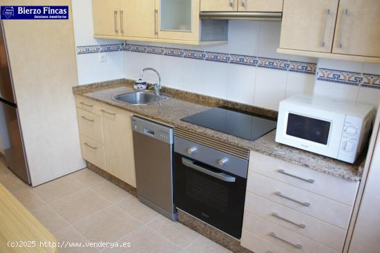 APARTAMENTO EN ALQUILER, ZONA FLORES DEL SIL - LEON