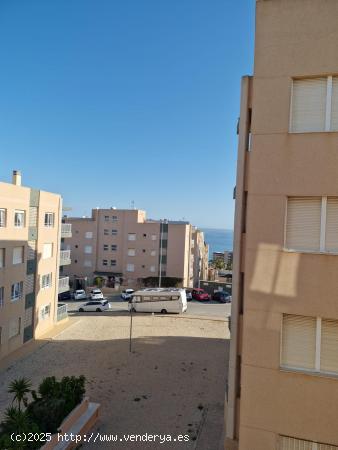 Alquiler de septiembre a mayo-Playa de La Mata - ALICANTE