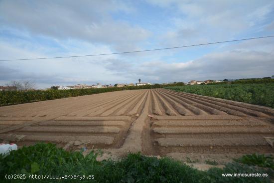  Parcela de terreno rústico en la pedanía de Molins. Terreno de 2.219 m2. de superficie. - ALICANTE 