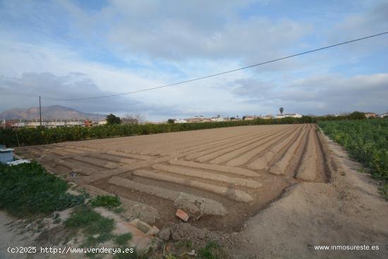 Parcela de terreno rústico en la pedanía de Molins. Terreno de 2.219 m2. de superficie. - ALICANTE