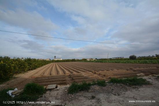 Parcela de terreno rústico en la pedanía de Molins. Terreno de 2.219 m2. de superficie. - ALICANTE