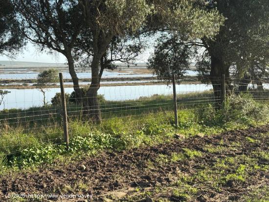  ESTUPENDA PARCELA CON BONITAS VISTAS - CADIZ 